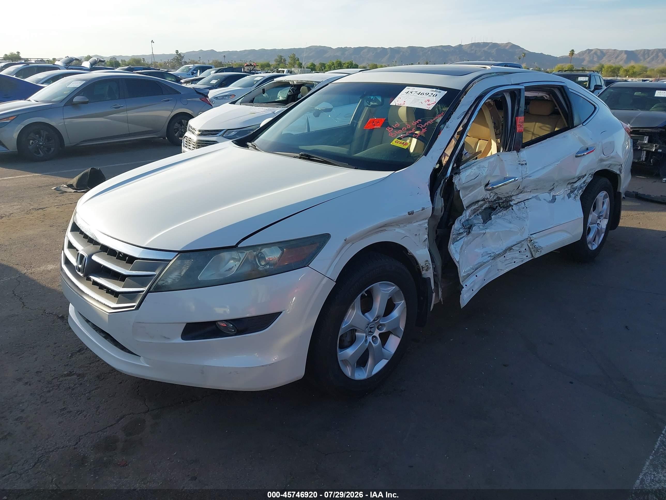 2010 Honda Accord Crosstour Ex-l White vin: 5J6TF1H50AL016579