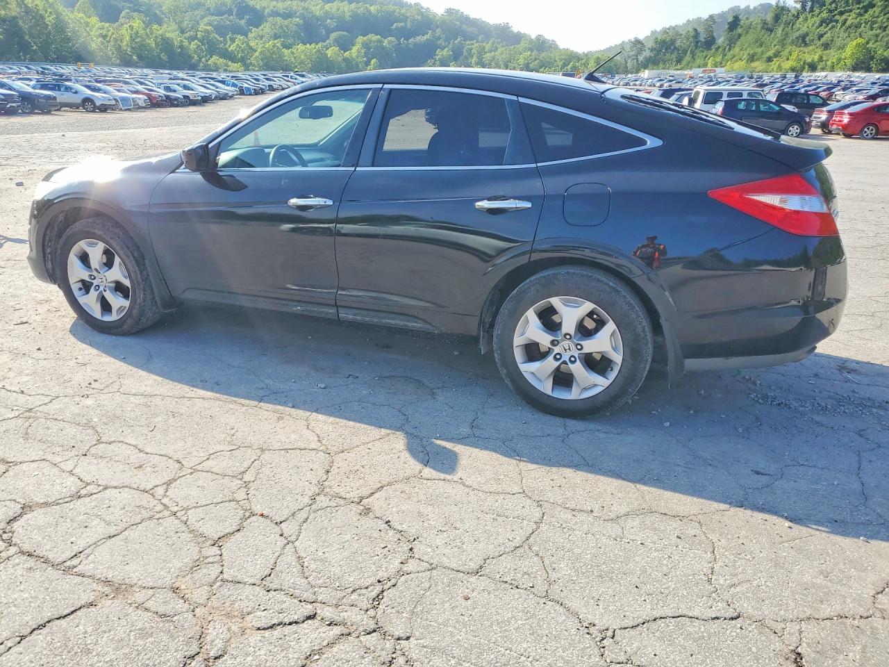 2010 Honda Accord Crosstour Exl Black vin: 5J6TF1H51AL008491