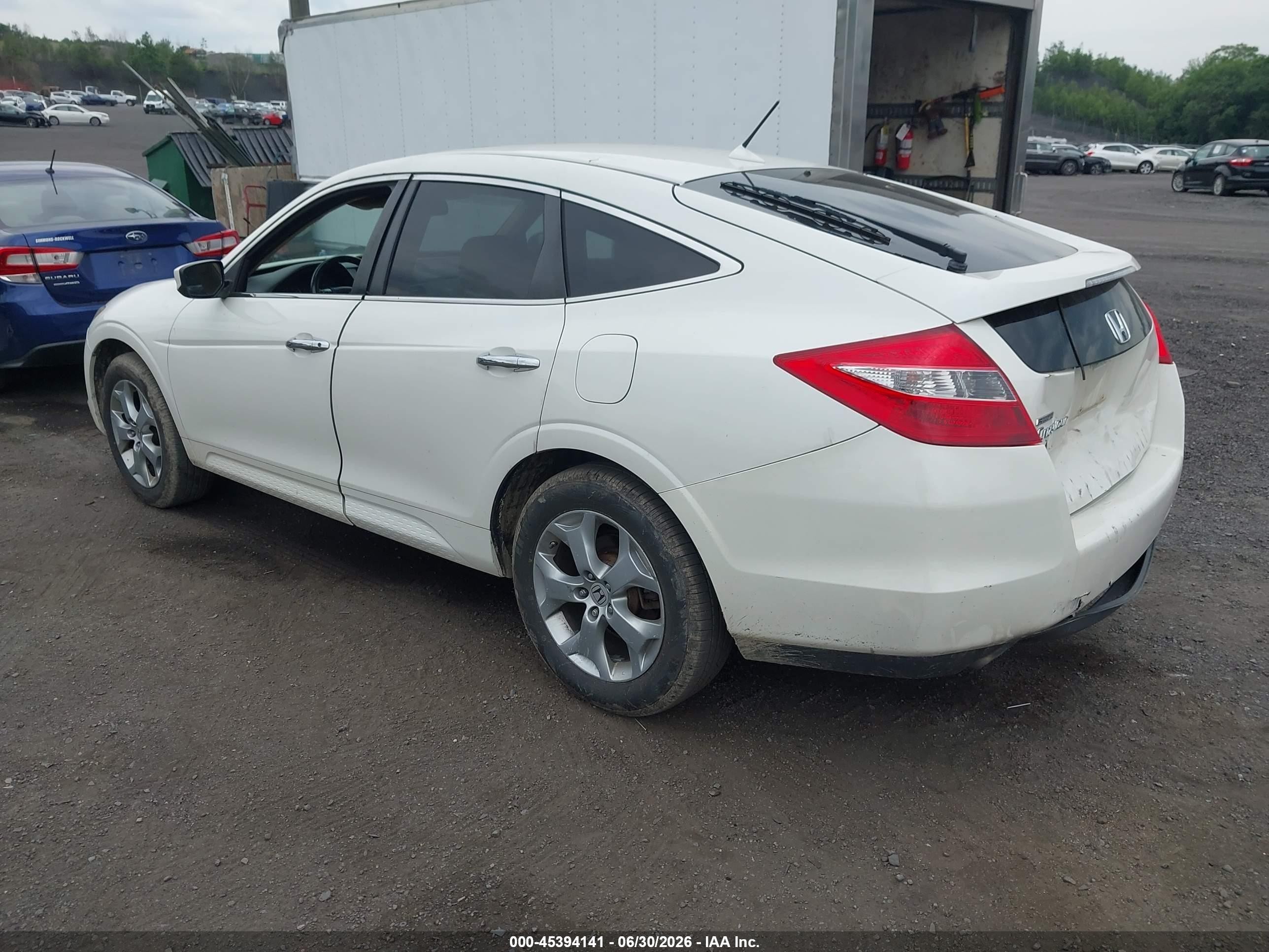 2011 Honda Accord Crosstour Ex-l Белый vin: 5J6TF1H51BL003244
