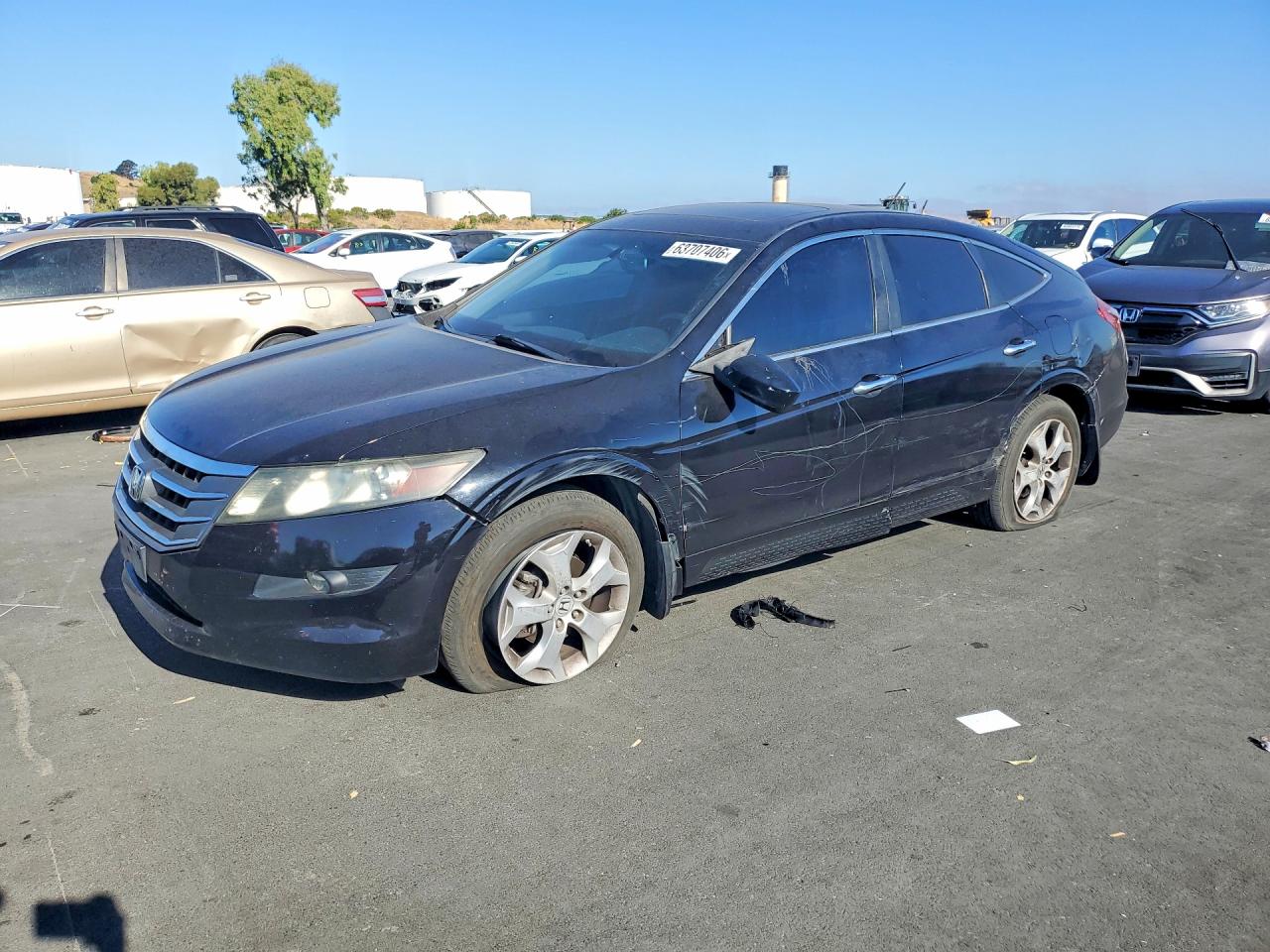 2011 Honda Accord Crosstour Exl Black vin: 5J6TF1H51BL003907