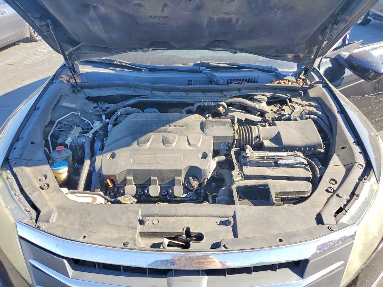 2011 Honda Accord Crosstour Exl Black vin: 5J6TF1H51BL003907