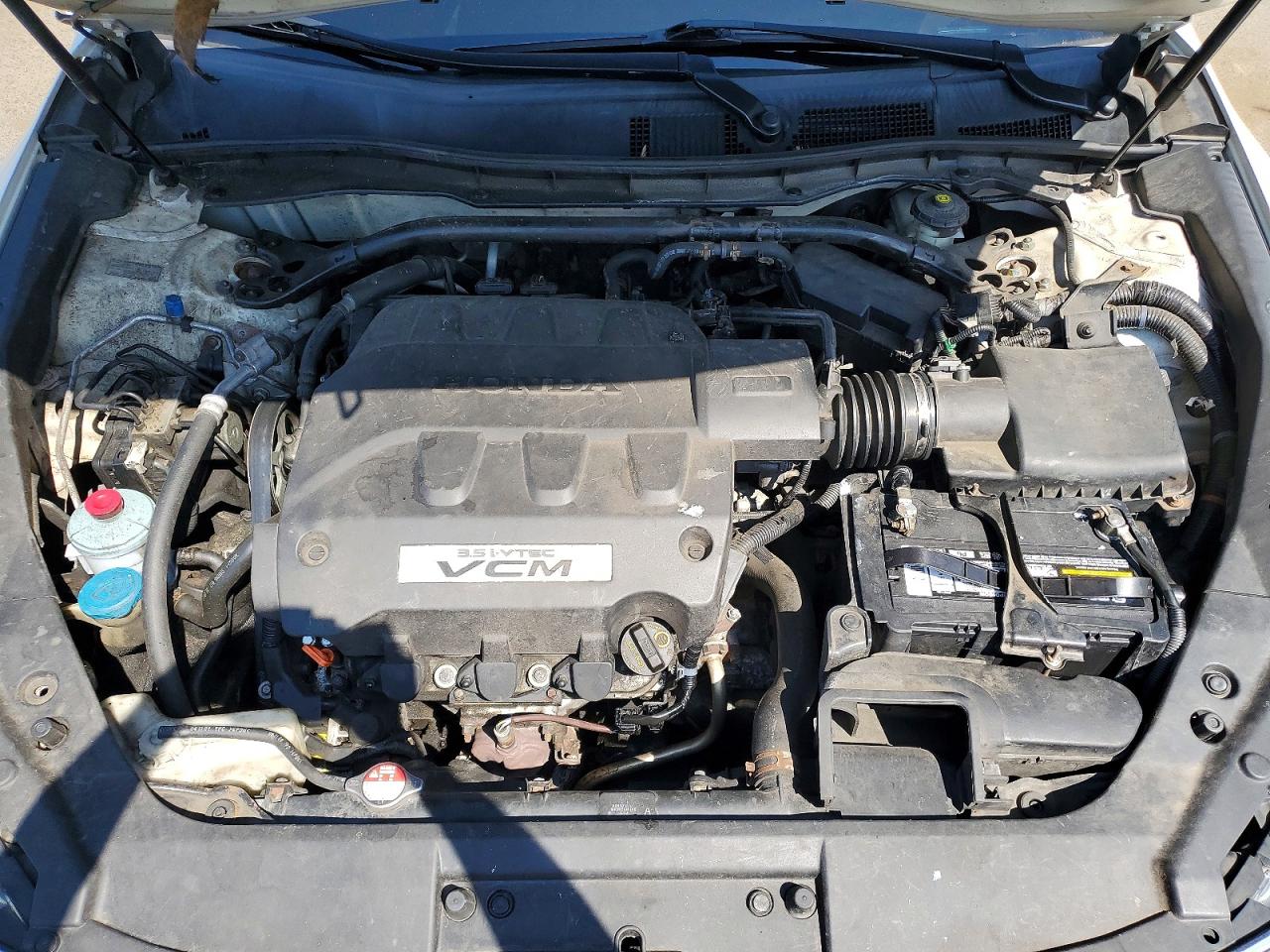 2010 Honda Accord Crosstour Exl Белый vin: 5J6TF1H53AL007813