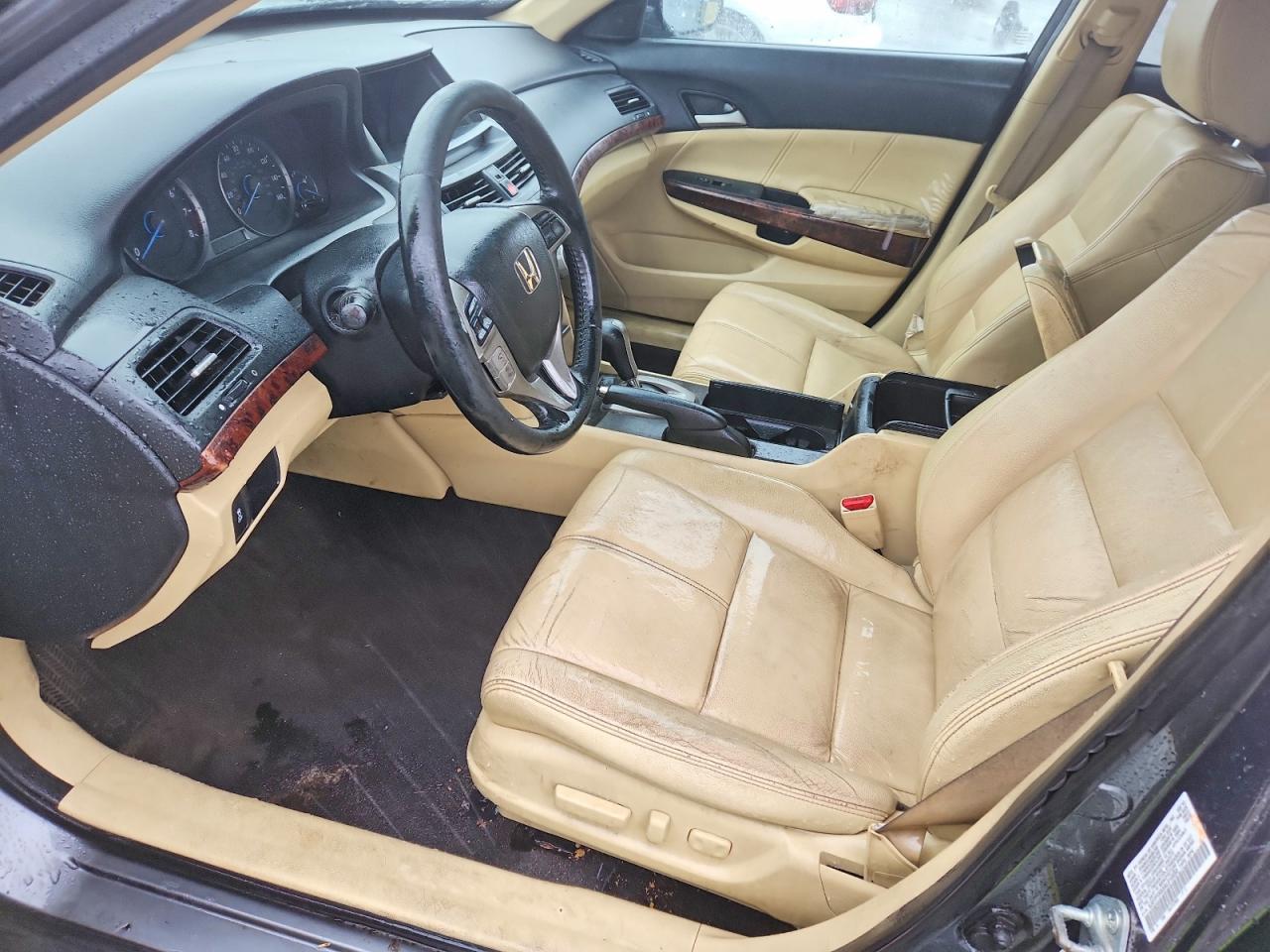 2010 Honda Accord Crosstour Exl Gray vin: 5J6TF1H53AL010050