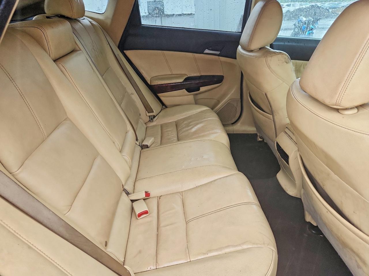 2010 Honda Accord Crosstour Exl Gray vin: 5J6TF1H53AL010050