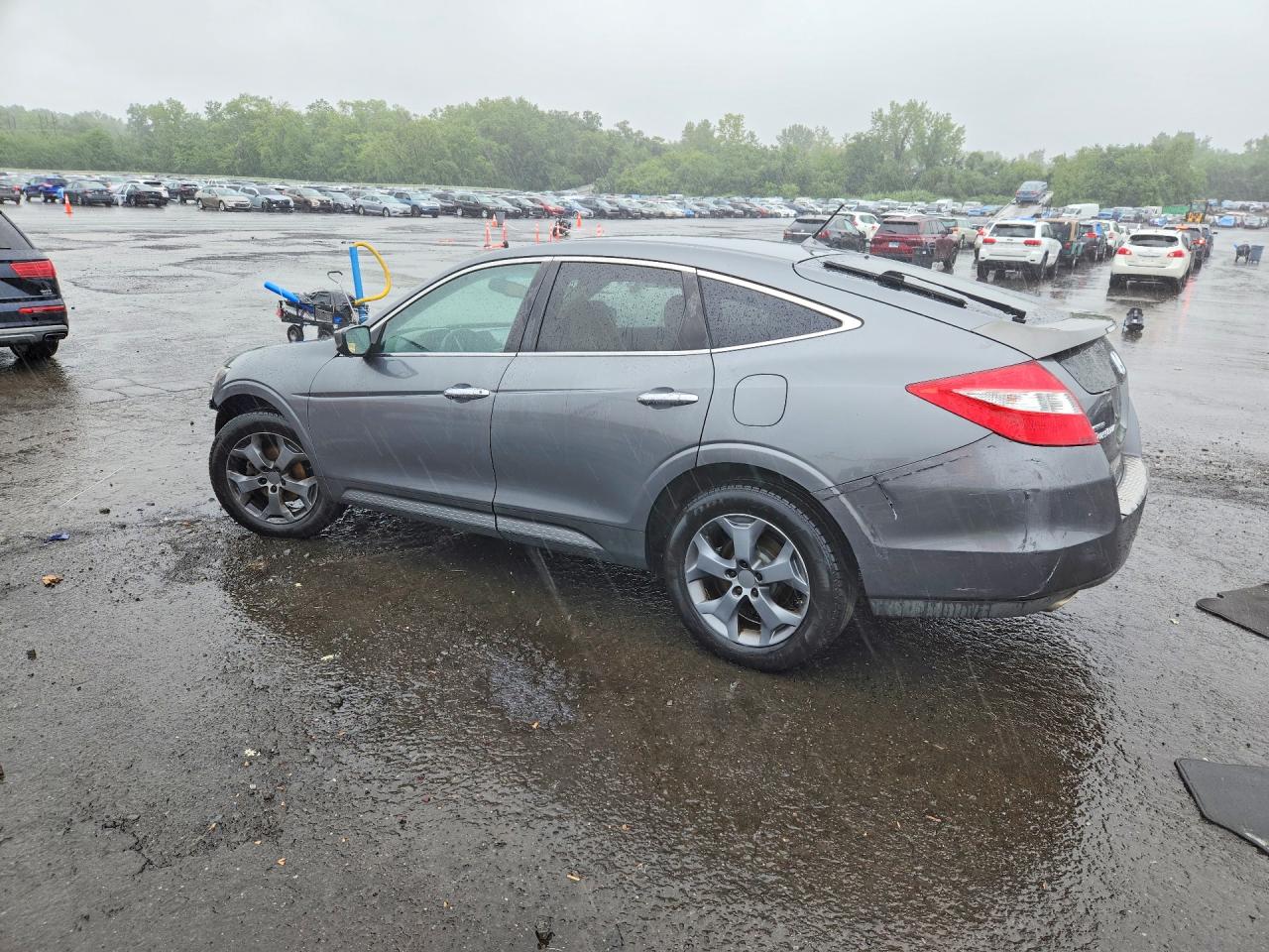 2010 Honda Accord Crosstour Exl Gray vin: 5J6TF1H53AL010050