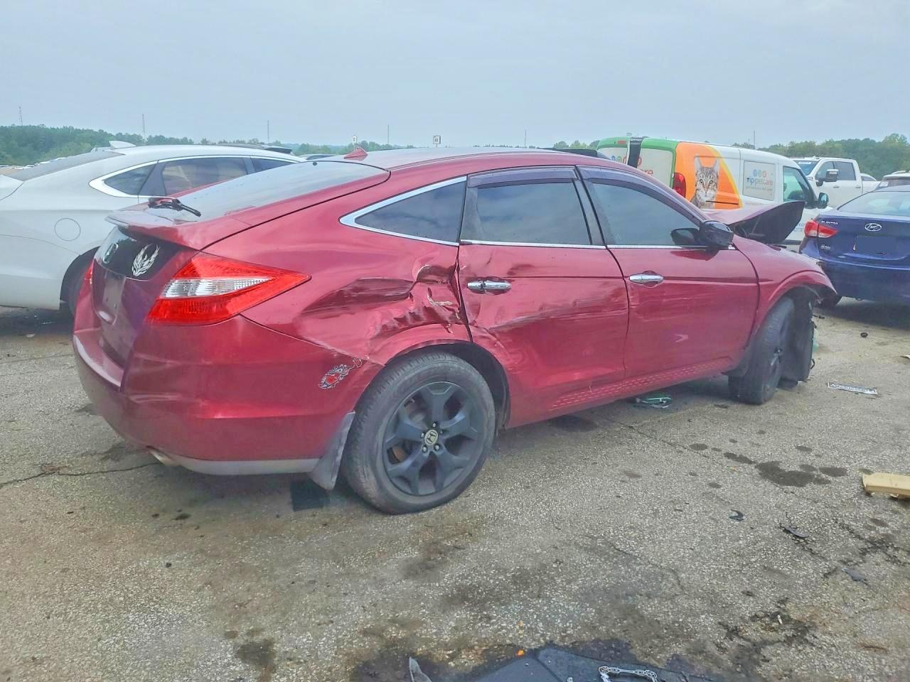 2010 Honda Accord Crosstour Exl Бордовый vin: 5J6TF1H54AL002541