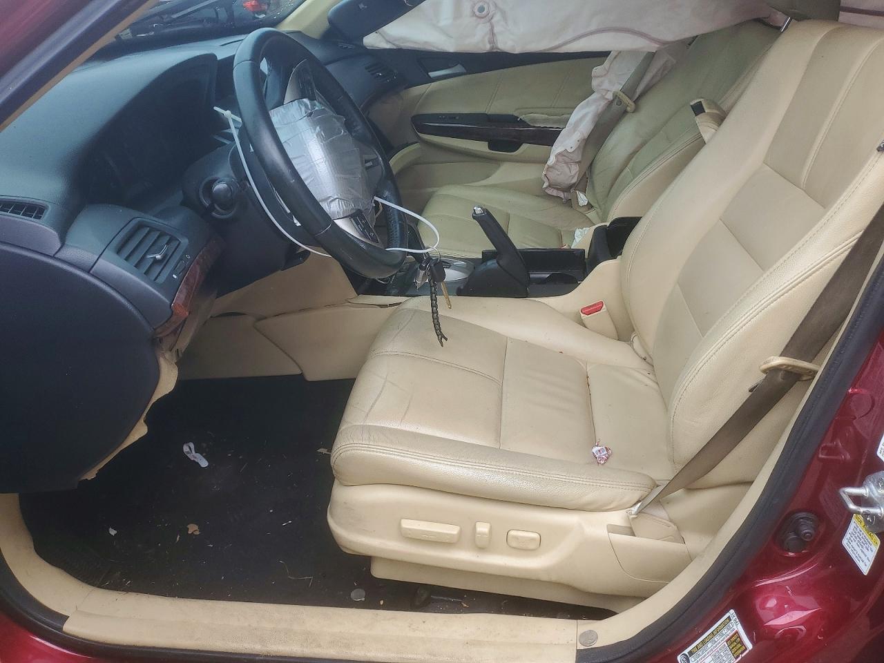 2010 Honda Accord Crosstour Exl Бордовый vin: 5J6TF1H54AL002541
