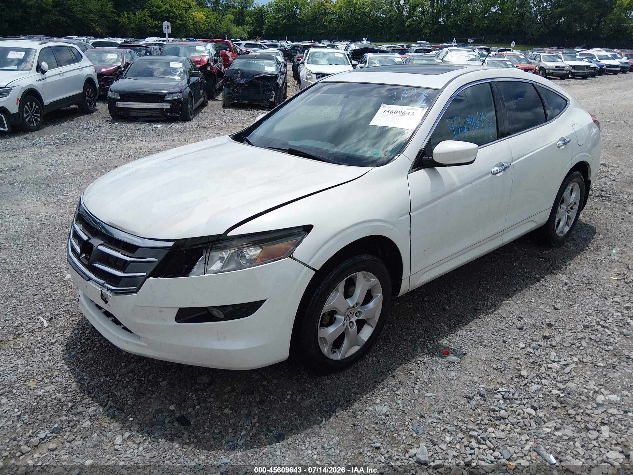 2012 Honda Crosstour Ex-l White vin: 5J6TF1H55CL001353