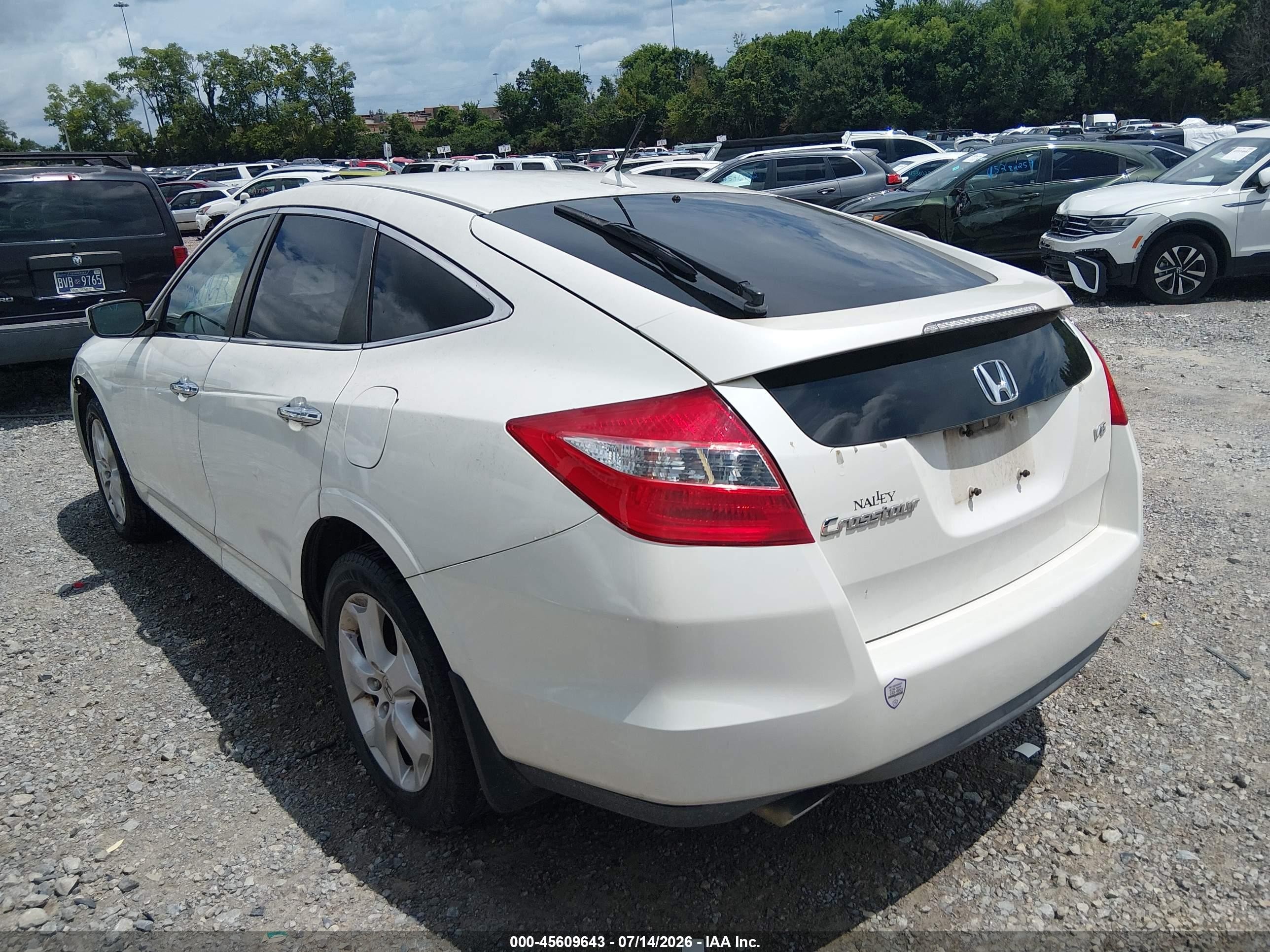 2012 Honda Crosstour Ex-l White vin: 5J6TF1H55CL001353