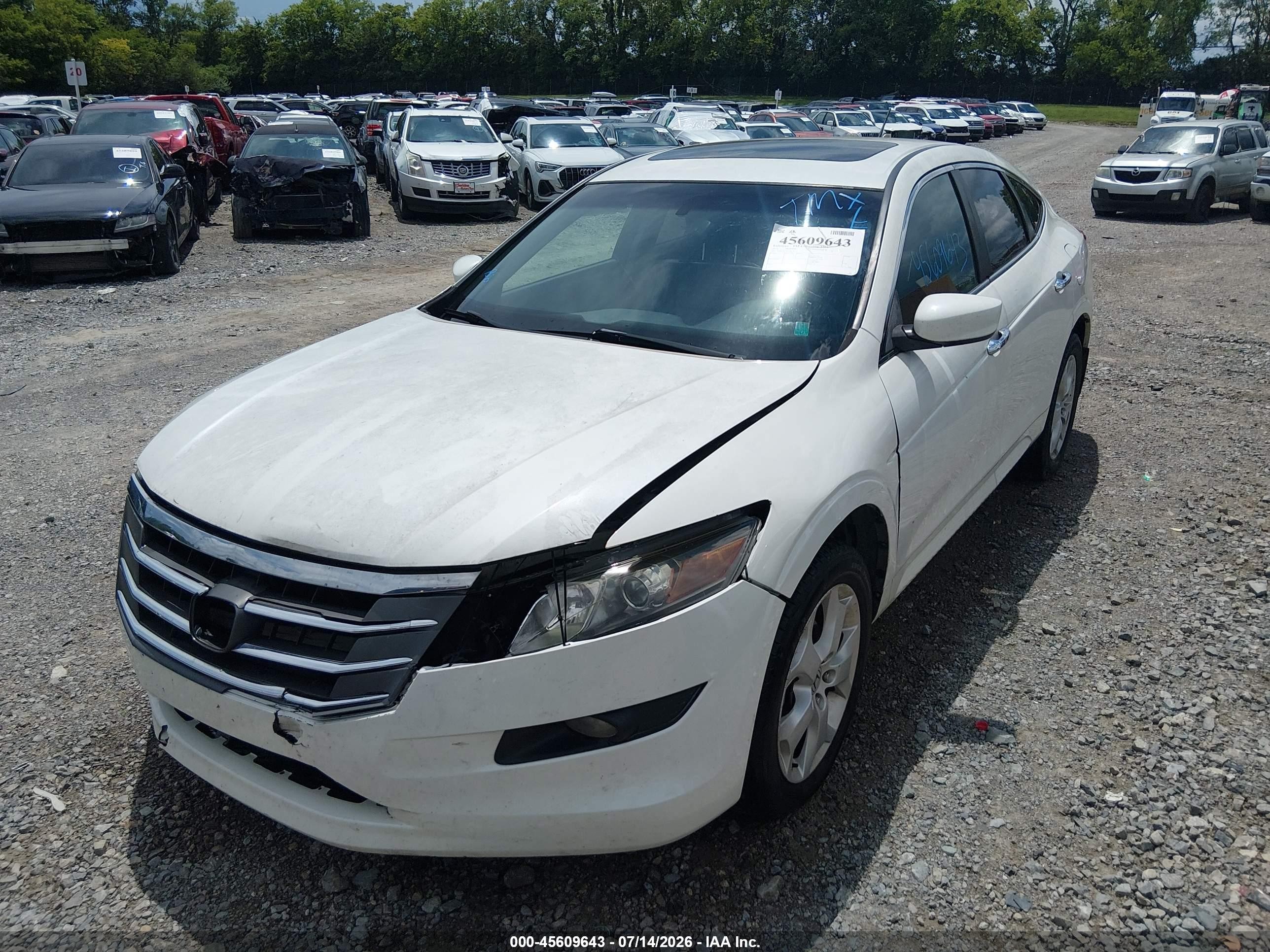 2012 Honda Crosstour Ex-l White vin: 5J6TF1H55CL001353