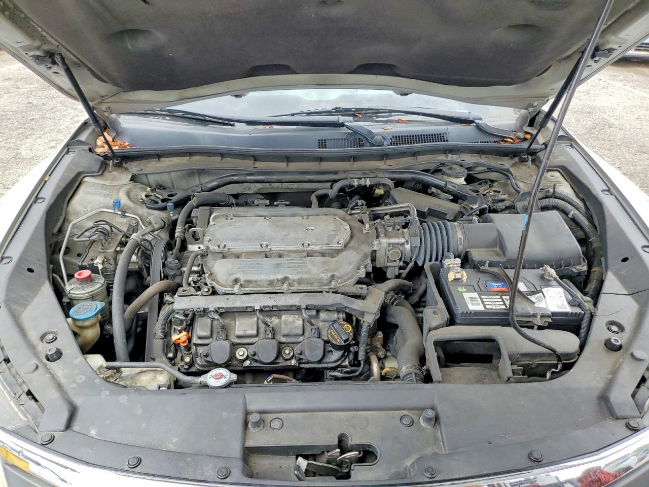 2010 Honda Accord Crosstour Exl Silver vin: 5J6TF1H57AL013081