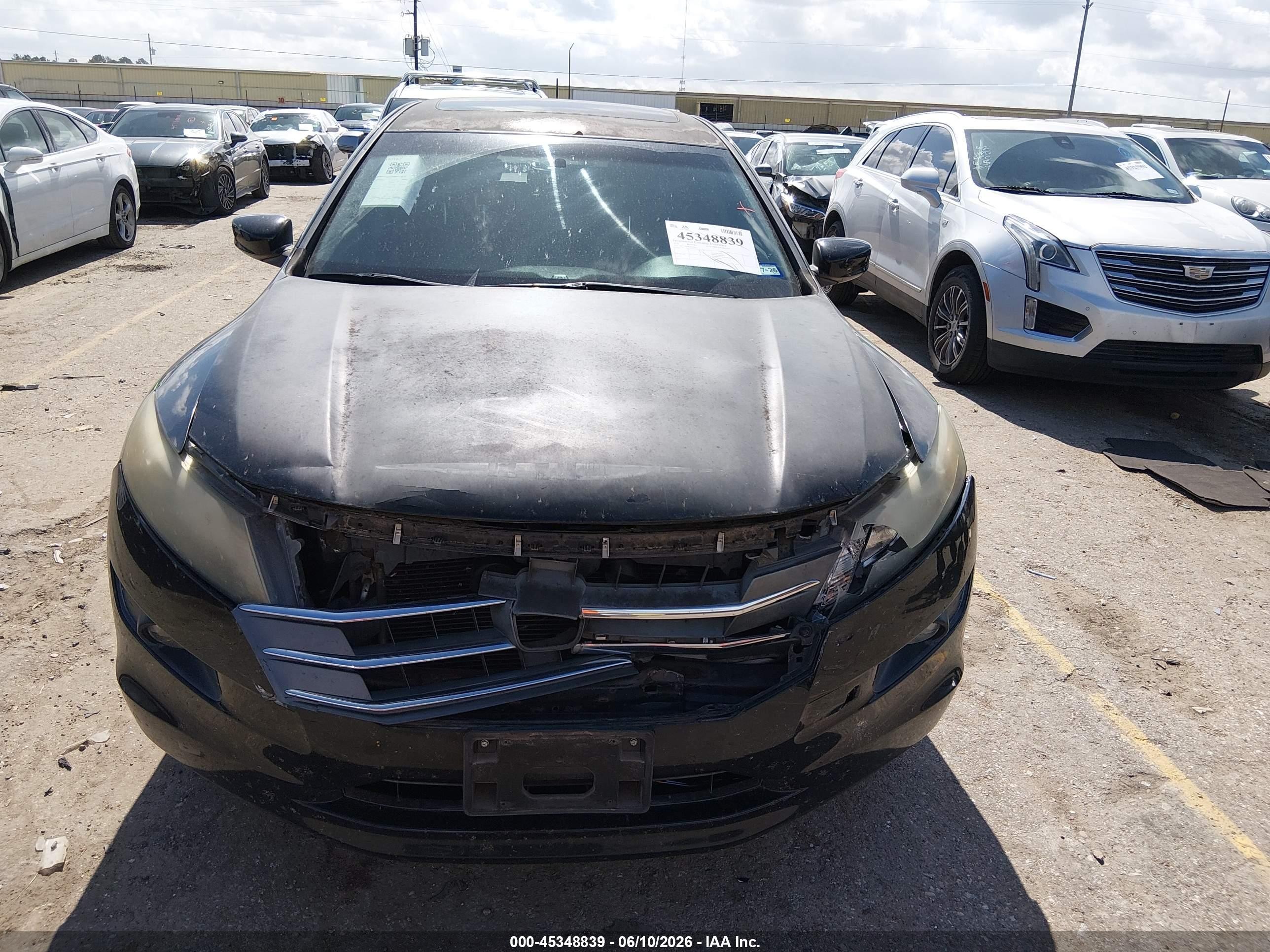 2010 Honda Accord Crosstour Ex-l Black vin: 5J6TF1H58AL014451