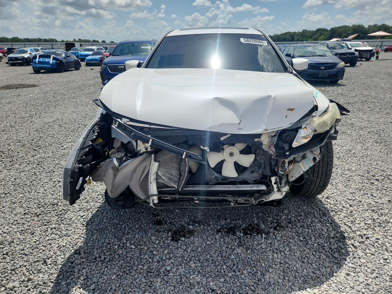 2012 Honda Crosstour Exl White vin: 5J6TF1H58CL000830