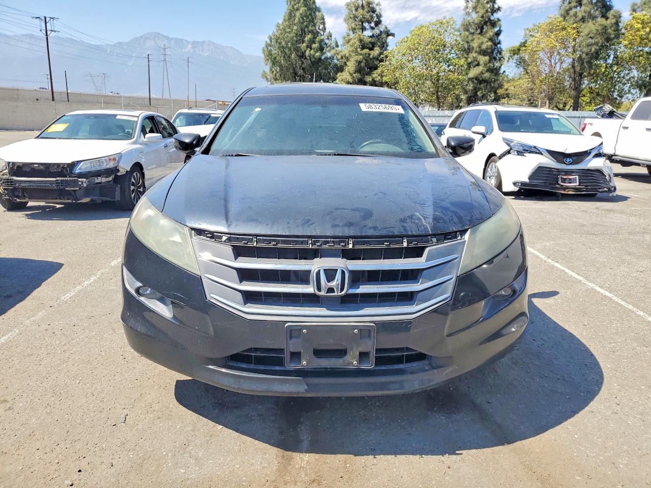 2010 Honda Accord Crosstour Exl Black vin: 5J6TF1H59AL015902