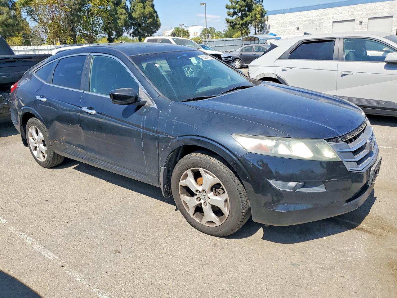 2010 Honda Accord Crosstour Exl Black vin: 5J6TF1H59AL015902