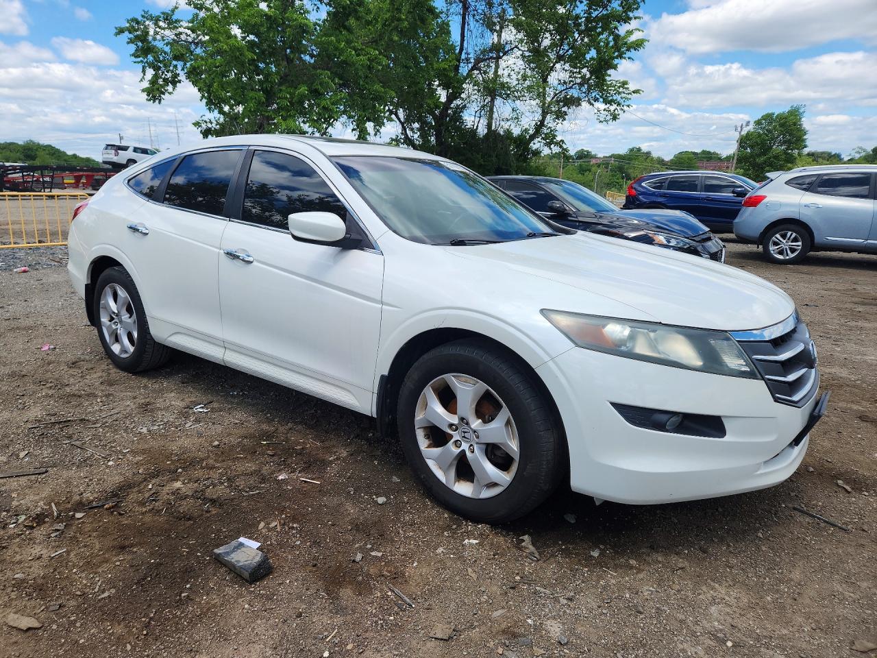 2010 Honda Accord Crosstour Exl White vin: 5J6TF1H5XAL008814