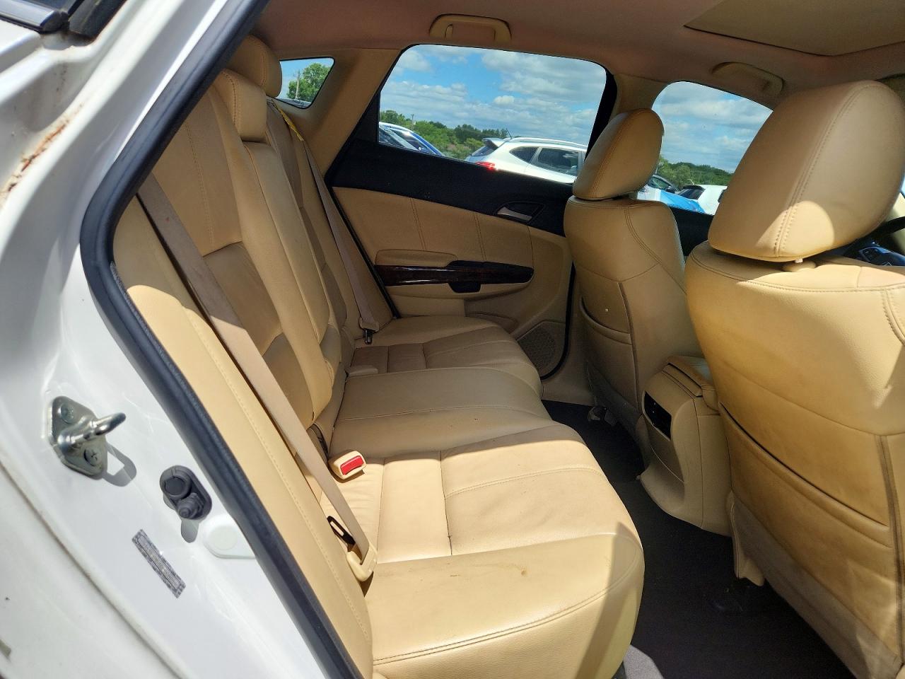 2010 Honda Accord Crosstour Exl White vin: 5J6TF1H5XAL008814