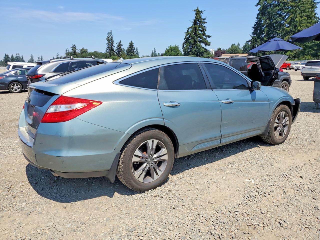 2010 Honda Accord Crosstour Exl Teal vin: 5J6TF2H50AL009685
