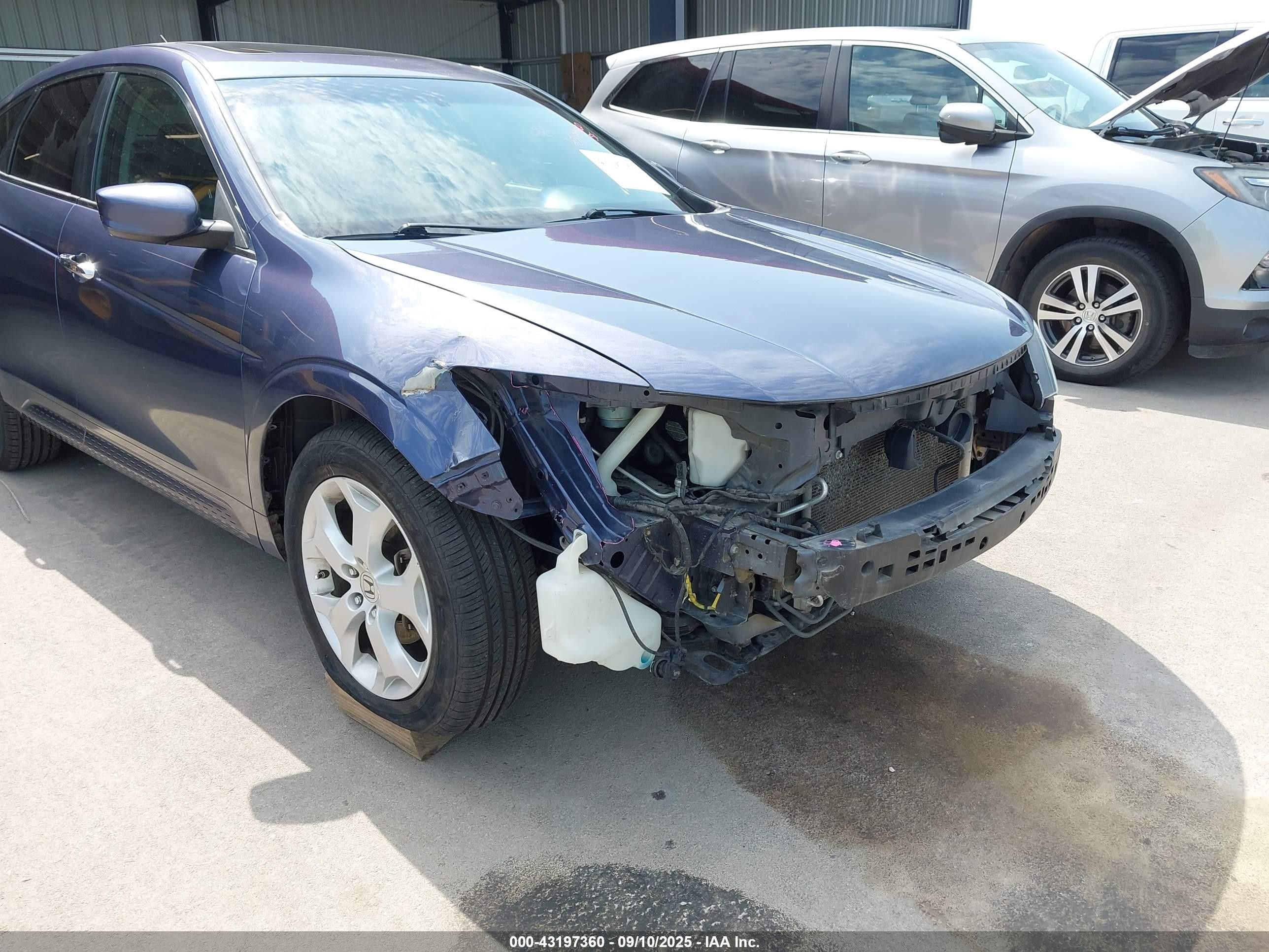 2012 Honda Crosstour Ex-l Blue vin: 5J6TF2H50CL010385