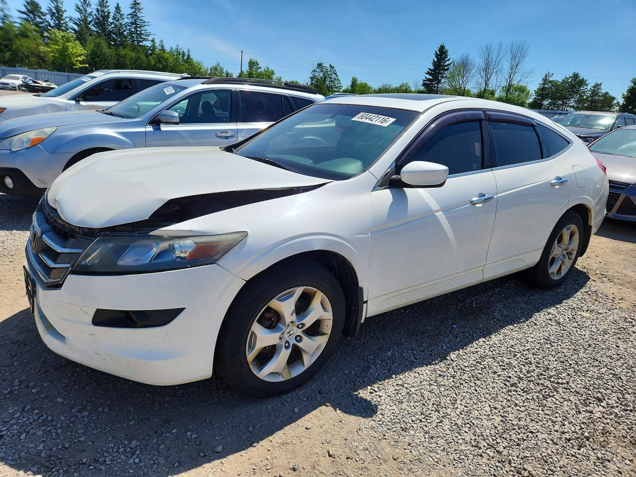 2011 Honda Accord Crosstour Exl Белый vin: 5J6TF2H51BL005422