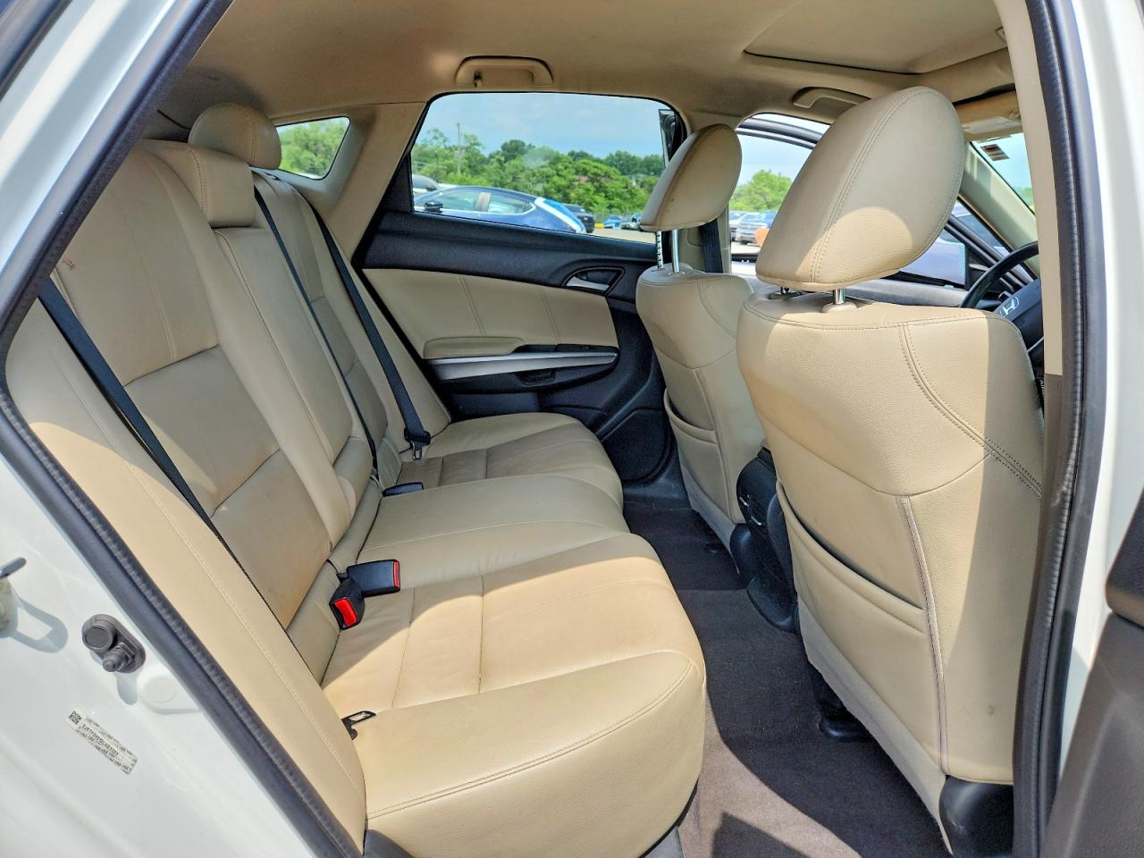 2013 Honda Crosstour Exl White vin: 5J6TF2H51DL003320
