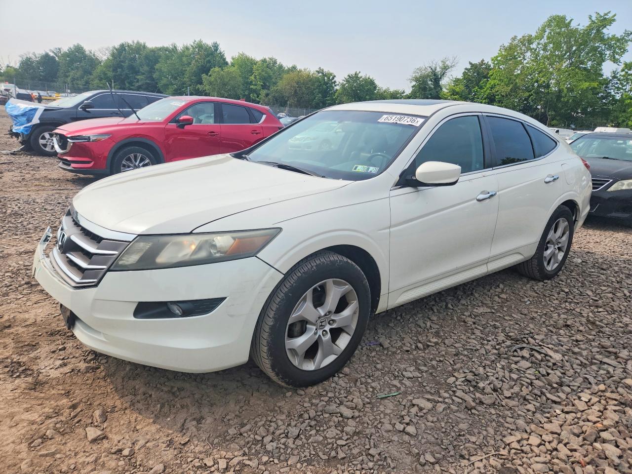 2011 Honda Accord Crosstour Exl White vin: 5J6TF2H52BL005297