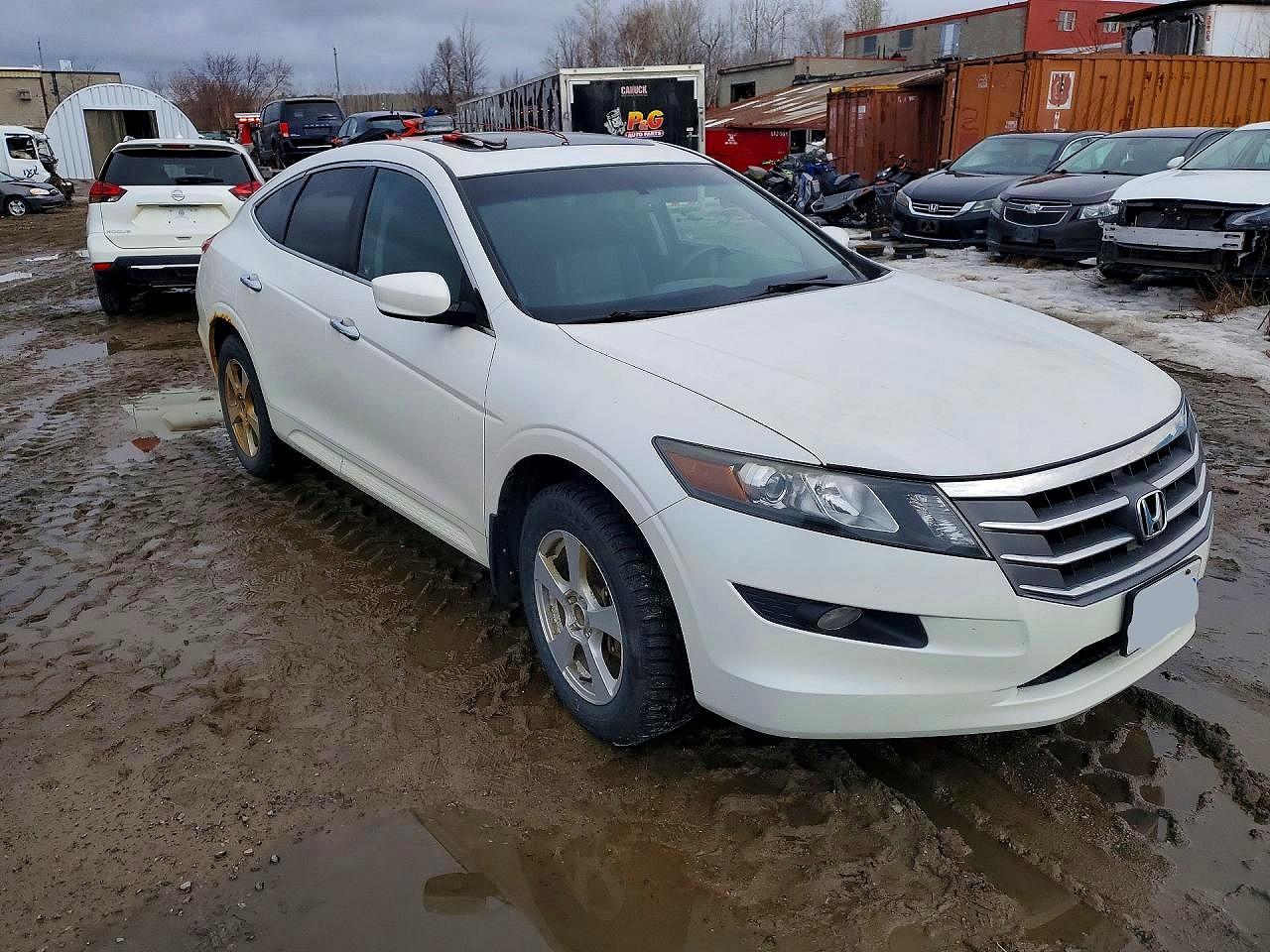 2012 Honda Crosstour Exl Белый vin: 5J6TF2H52CL801050