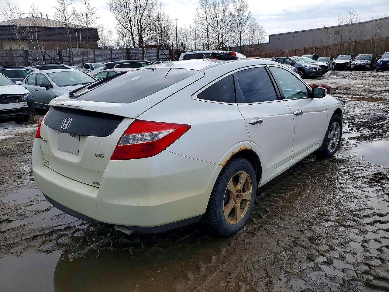 2012 Honda Crosstour Exl Белый vin: 5J6TF2H52CL801050