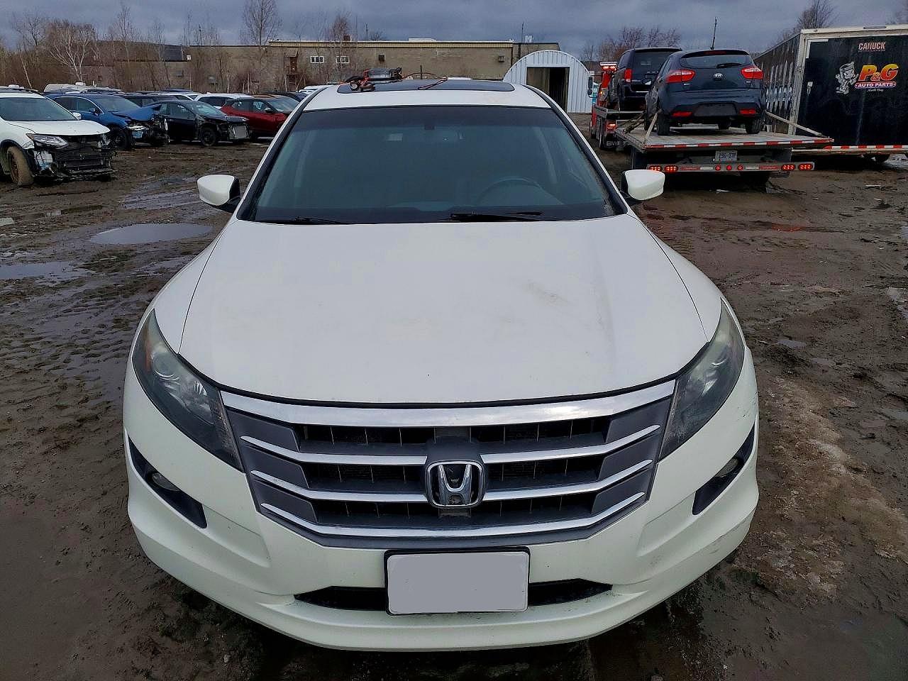 2012 Honda Crosstour Exl Белый vin: 5J6TF2H52CL801050