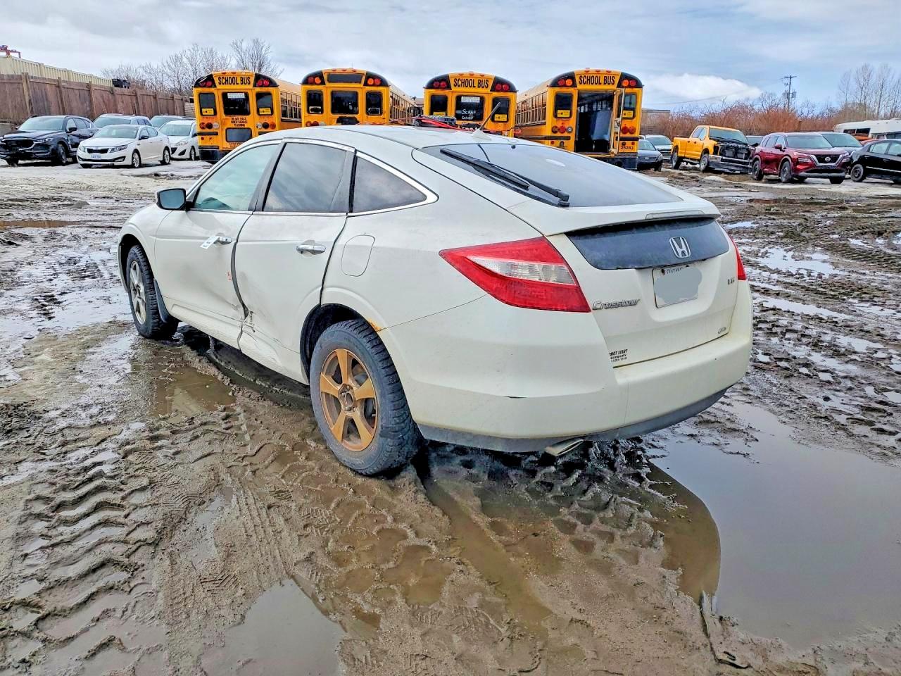 2012 Honda Crosstour Exl Белый vin: 5J6TF2H52CL801050