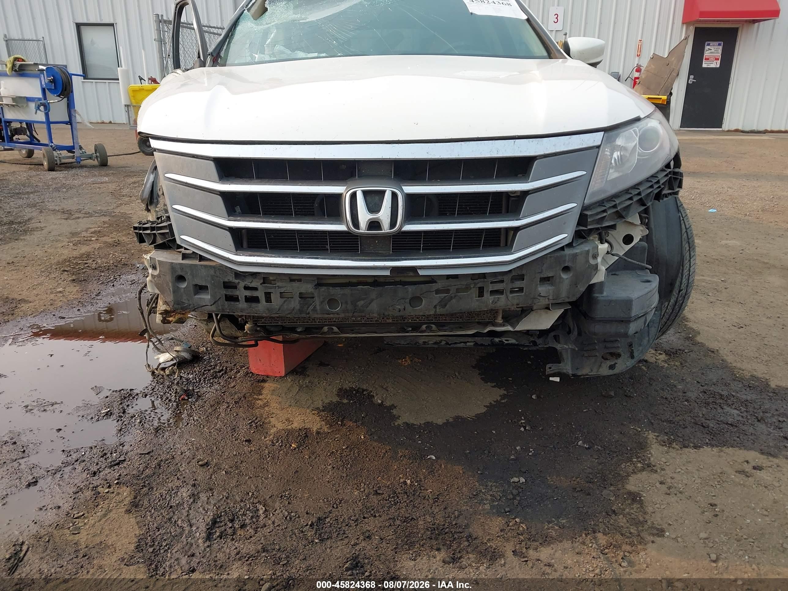 2010 Honda Accord Crosstour Ex-l Белый vin: 5J6TF2H53AL006795