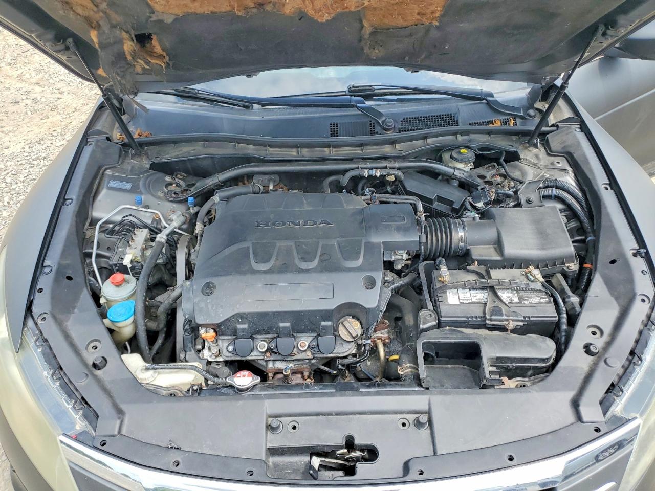 2010 Honda Accord Crosstour Exl Black vin: 5J6TF2H53AL016565