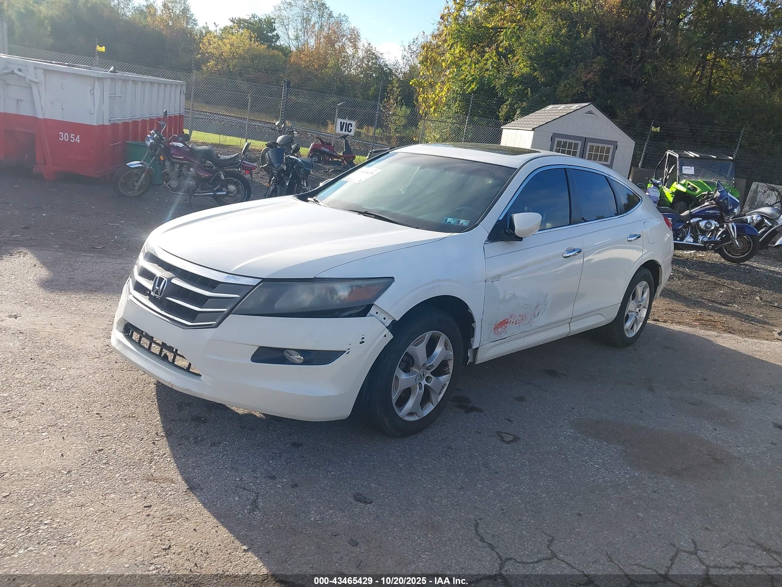 2011 Honda Accord Crosstour Ex-l White vin: 5J6TF2H55BL003687