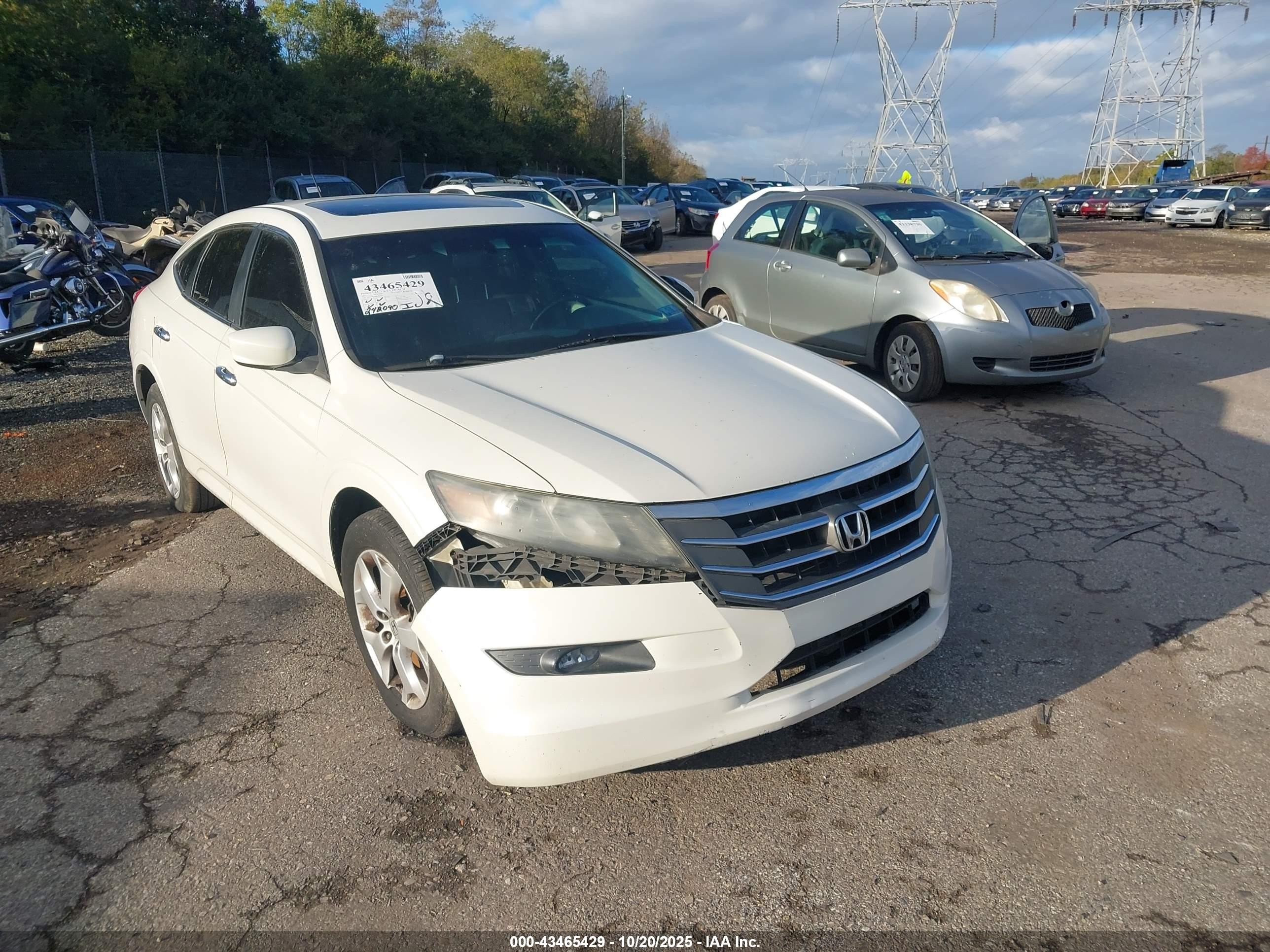 2011 Honda Accord Crosstour Ex-l White vin: 5J6TF2H55BL003687