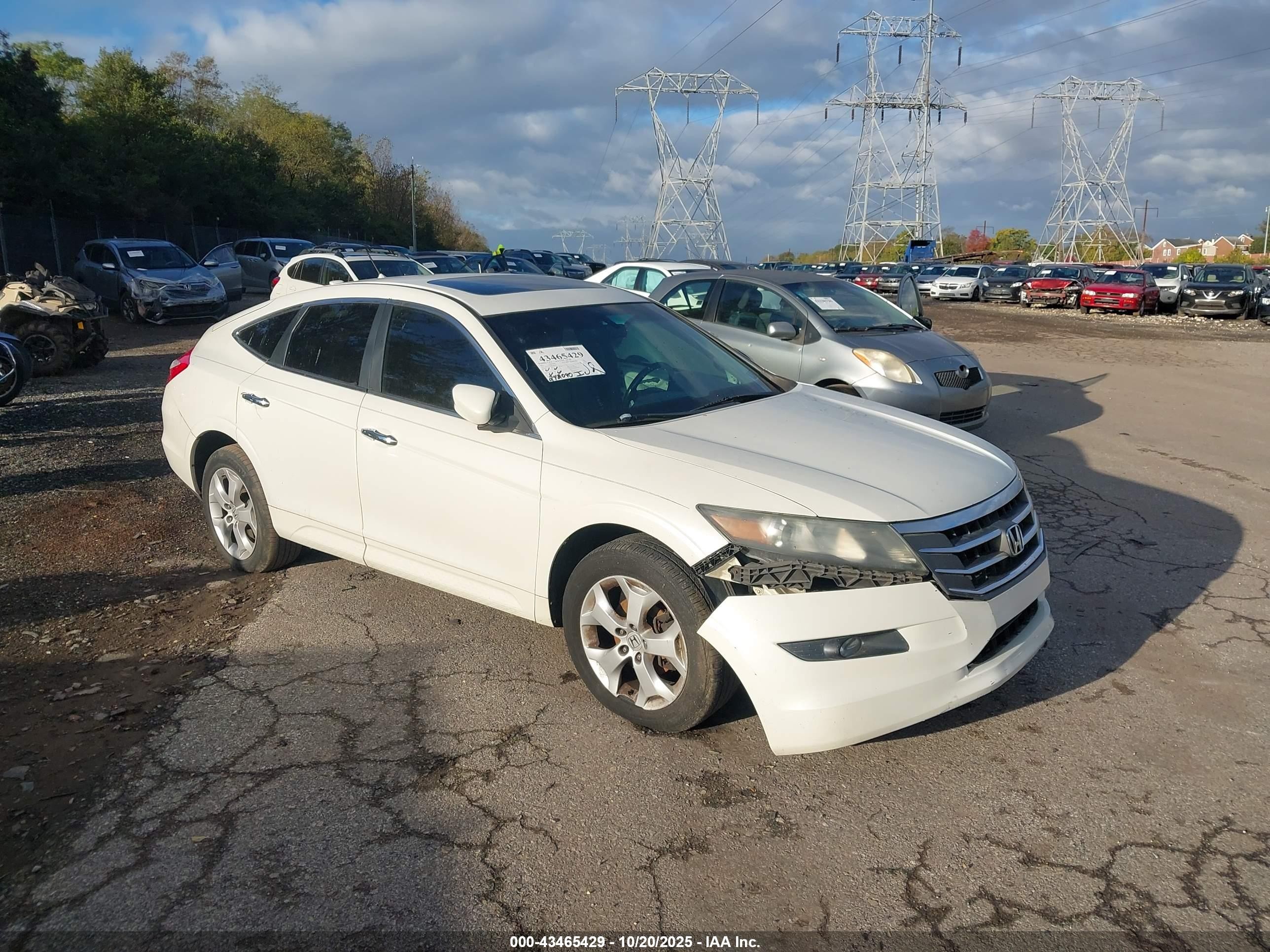 2011 Honda Accord Crosstour Ex-l White vin: 5J6TF2H55BL003687