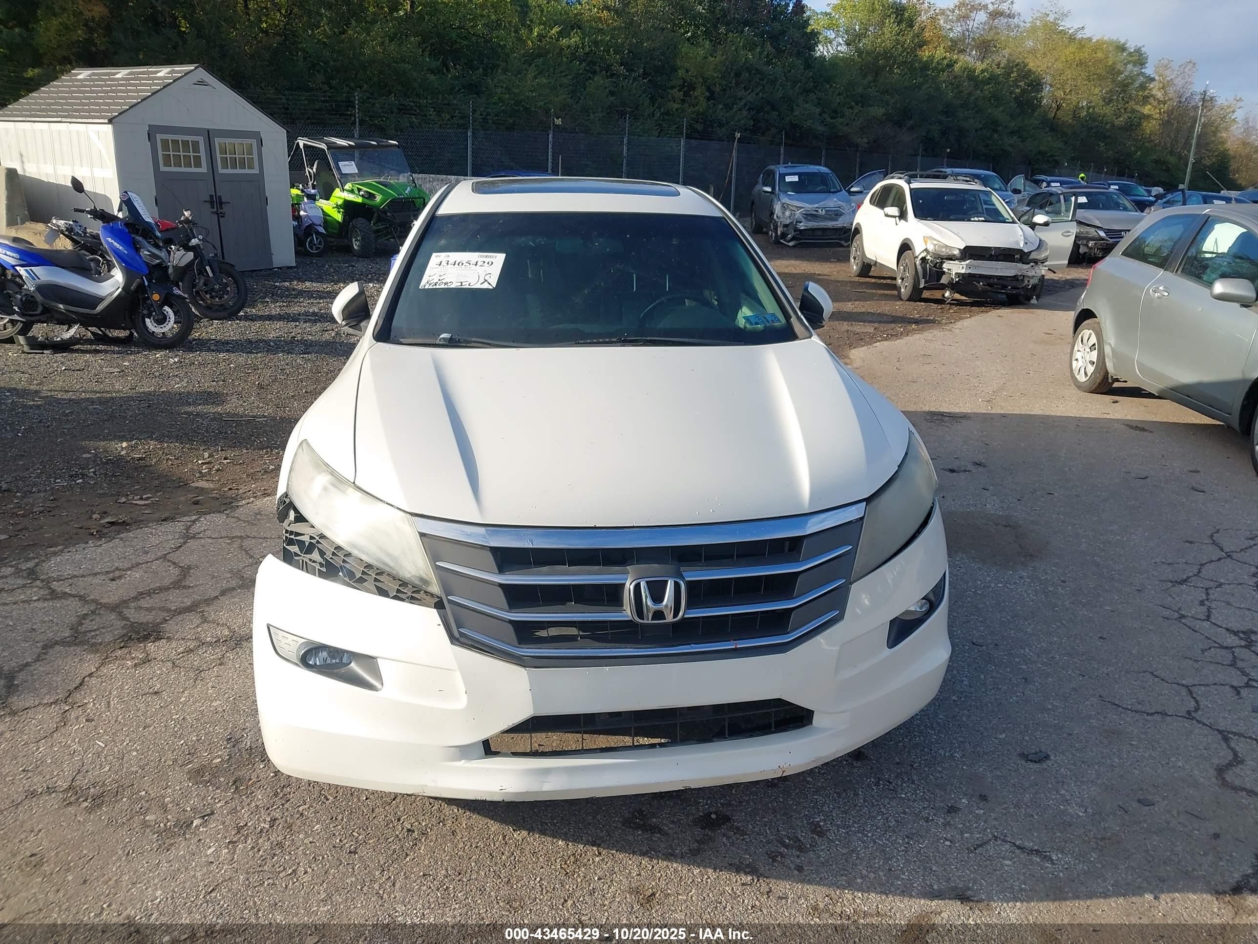 2011 Honda Accord Crosstour Ex-l White vin: 5J6TF2H55BL003687