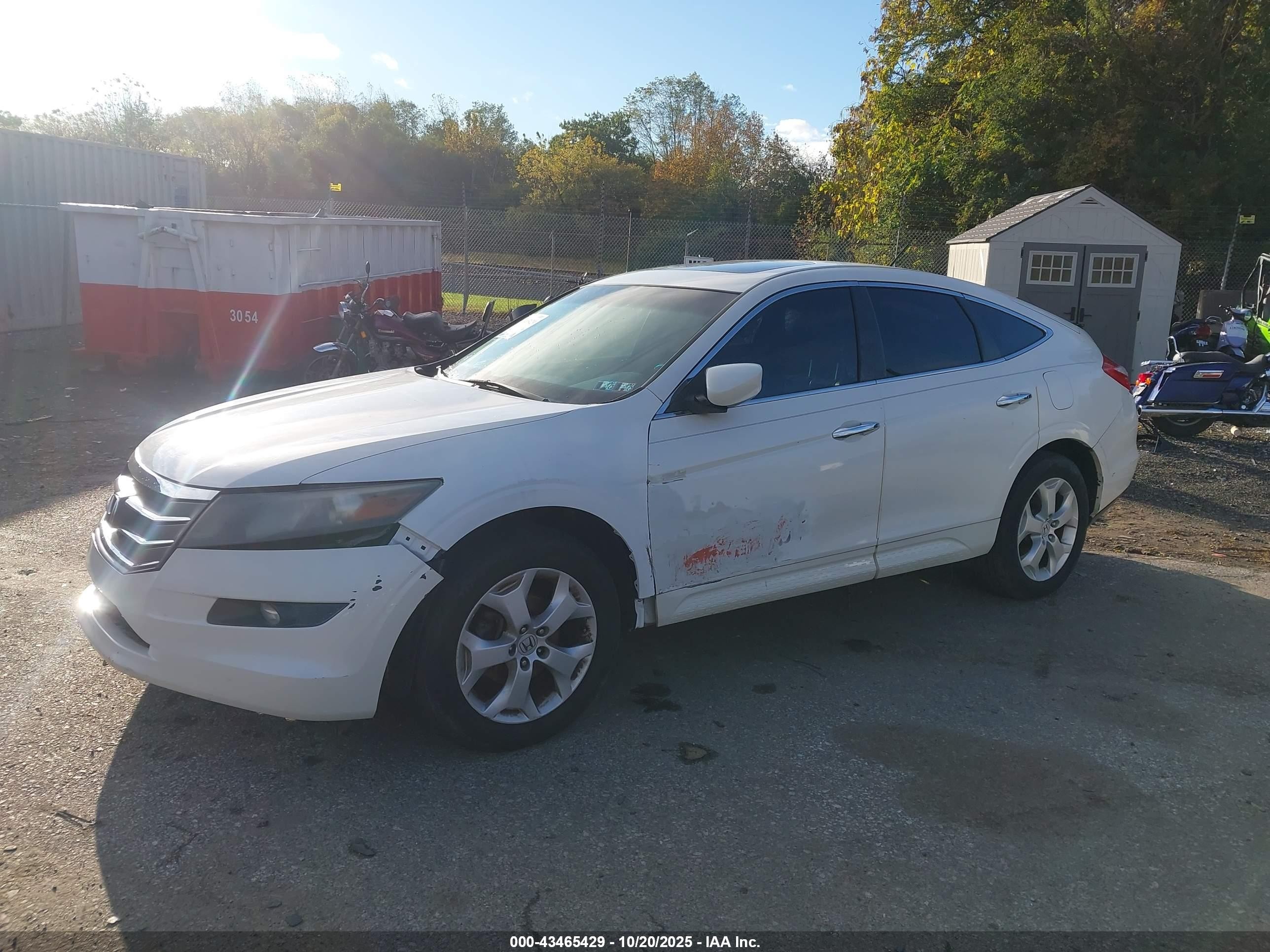 2011 Honda Accord Crosstour Ex-l White vin: 5J6TF2H55BL003687