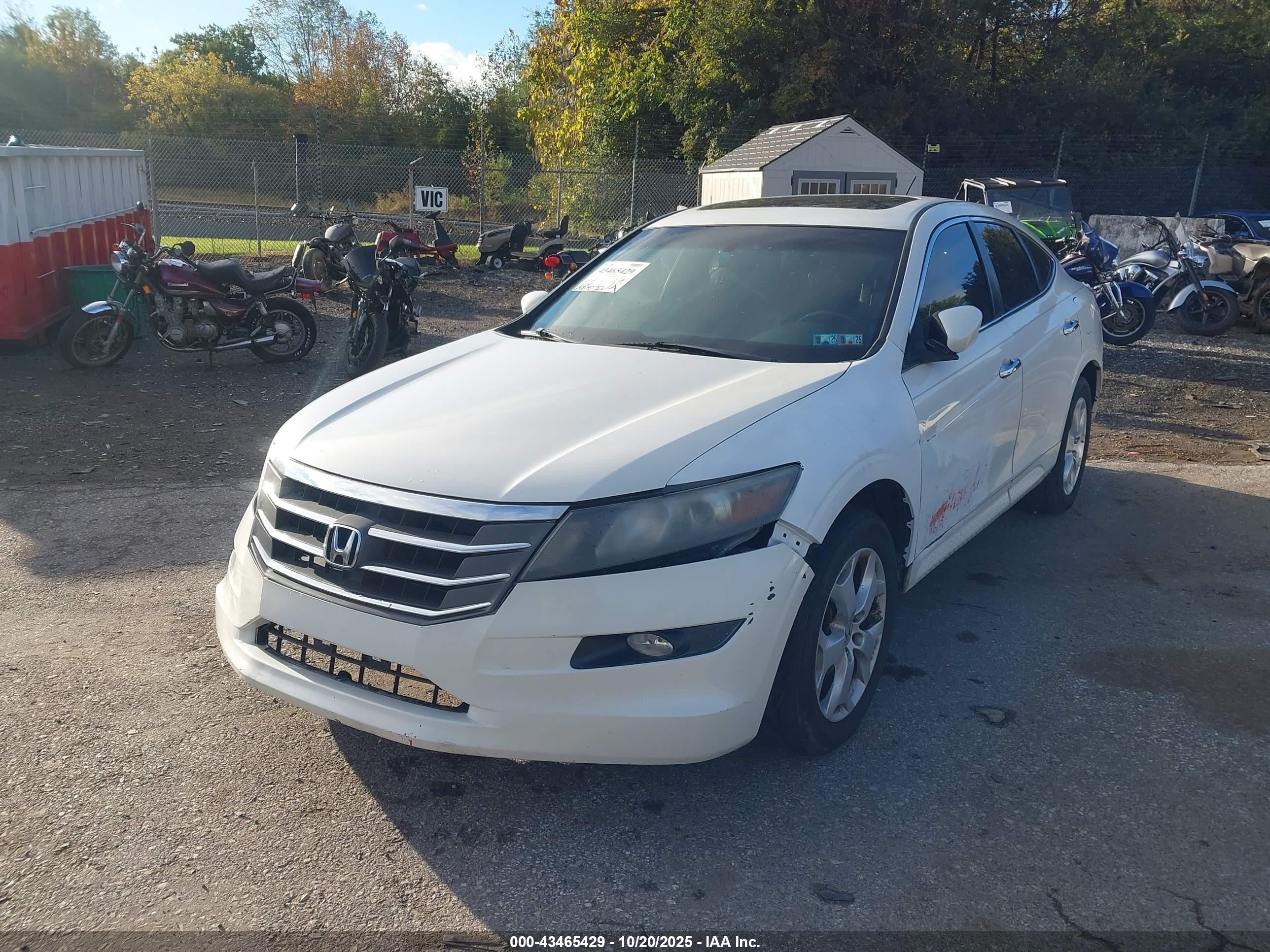 2011 Honda Accord Crosstour Ex-l White vin: 5J6TF2H55BL003687