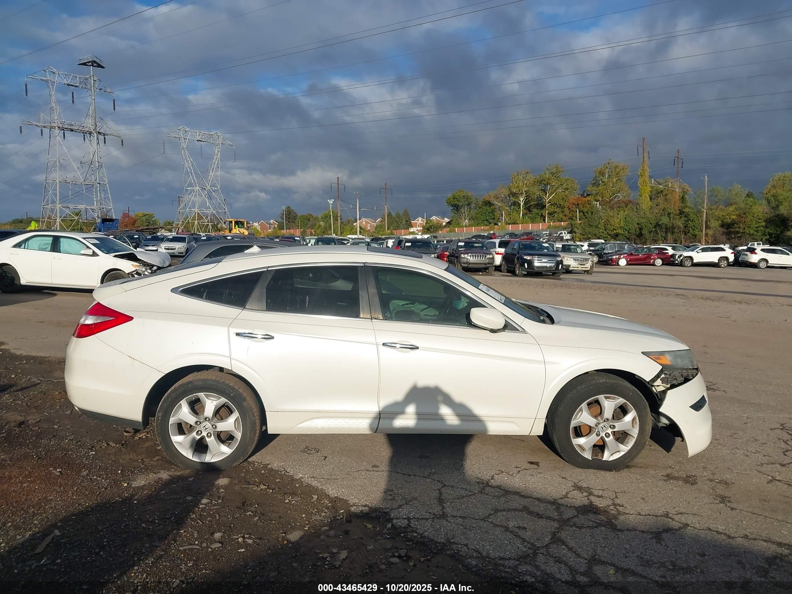 2011 Honda Accord Crosstour Ex-l White vin: 5J6TF2H55BL003687