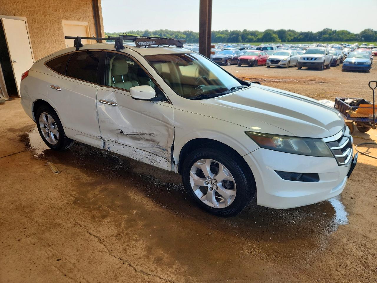 2010 Honda Accord Crosstour Exl White vin: 5J6TF2H59AL015971