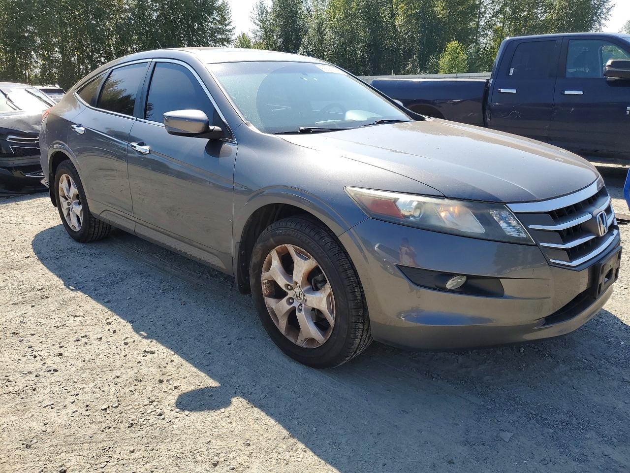 2012 Honda Crosstour Exl Gray vin: 5J6TF2H59CL001152