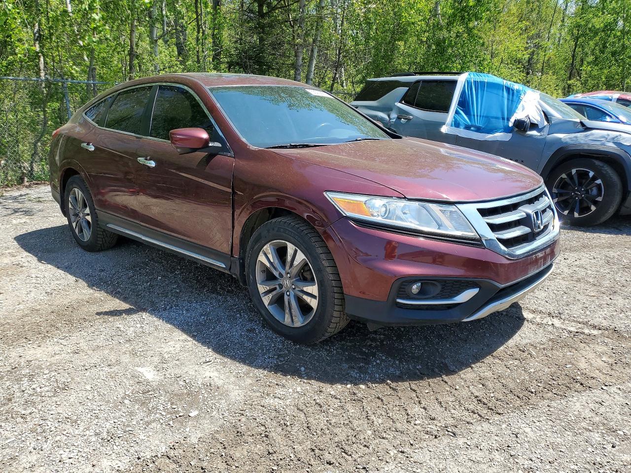 2014 Honda Crosstour Exl Burgundy vin: 5J6TF2H5XEL800487