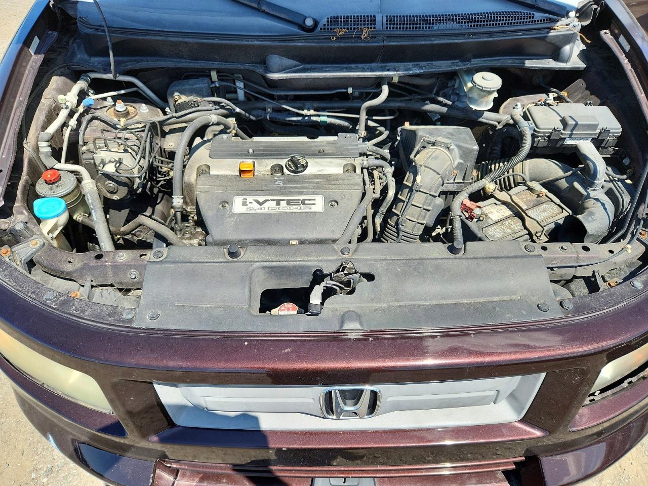 2008 Honda Element Sc Maroon vin: 5J6YH18968L005017