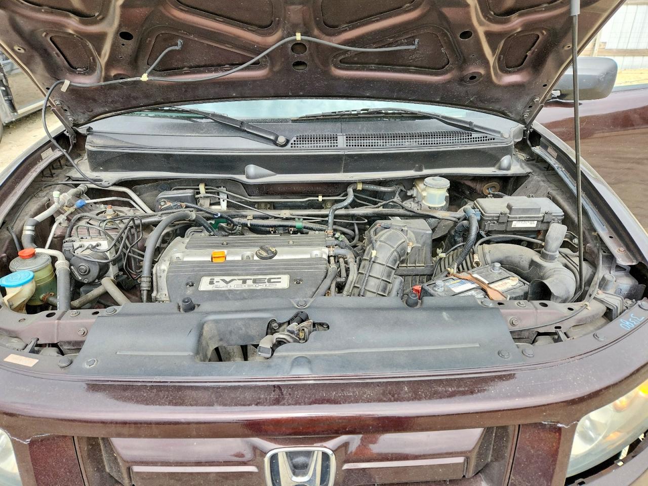 2007 Honda Element Sc Brown vin: 5J6YH189X7L012065