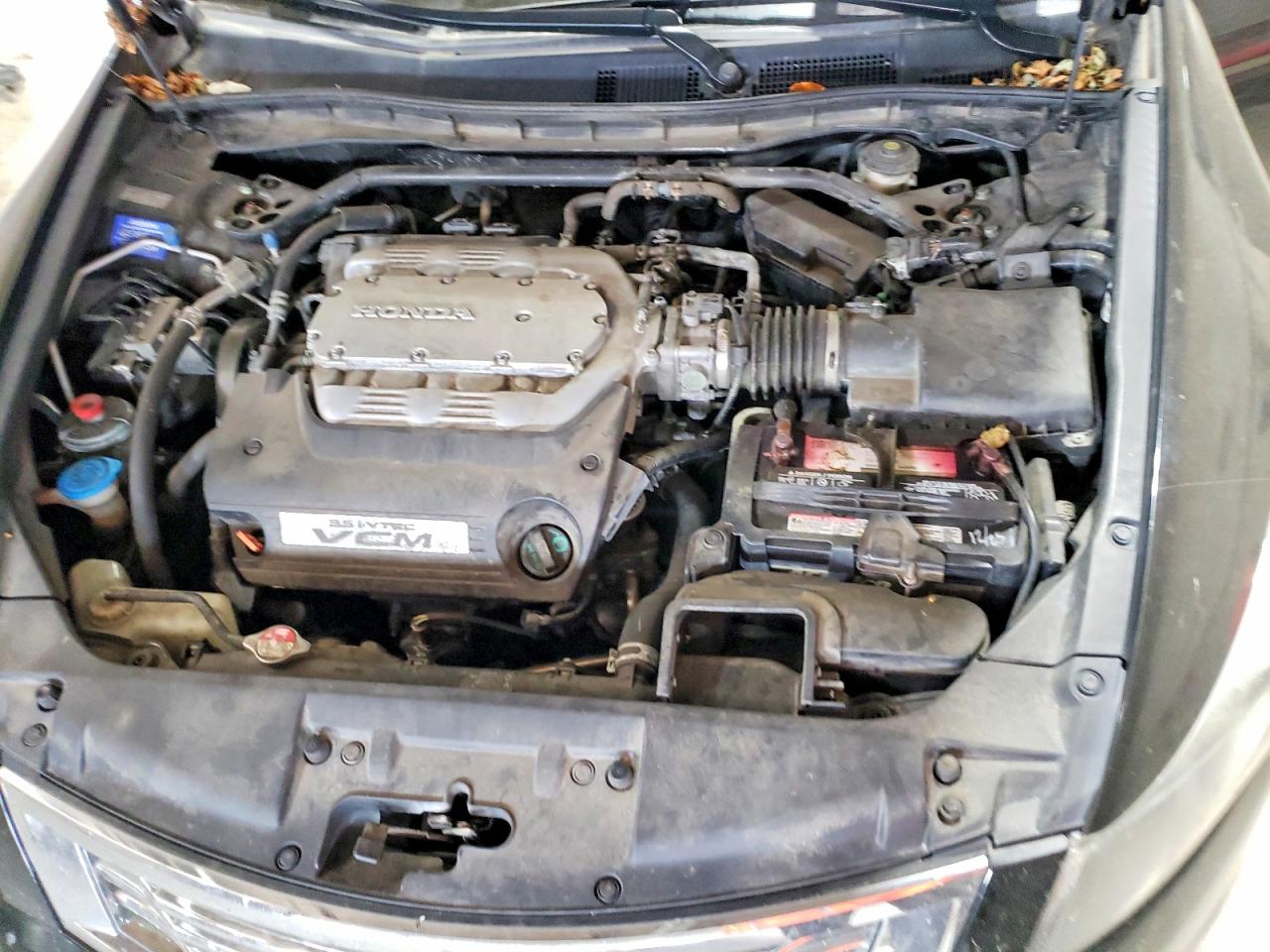 2009 Honda Accord Exl Black vin: 5KBCP36819B001651