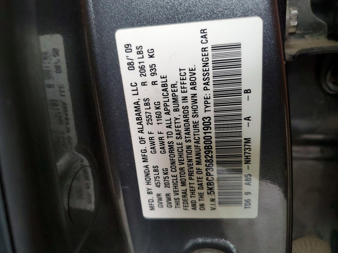 2009 Honda Accord Exl Gray vin: 5KBCP36829B001903