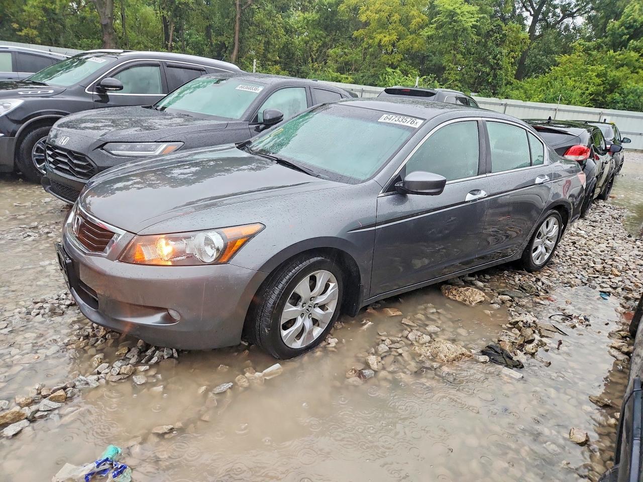 2010 Honda Accord Ex Gray vin: 5KBCP3F75AB009070