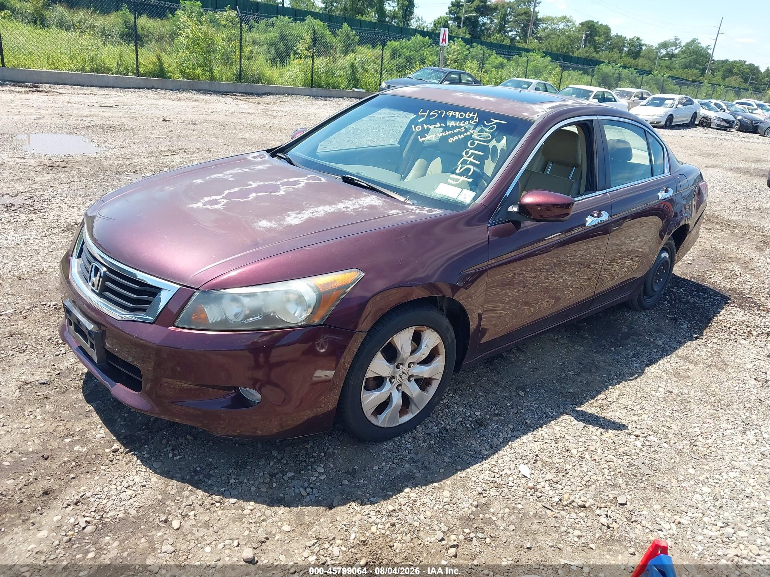 2010 Honda Accord 3.5 Ex-l Purple vin: 5KBCP3F80AB013570