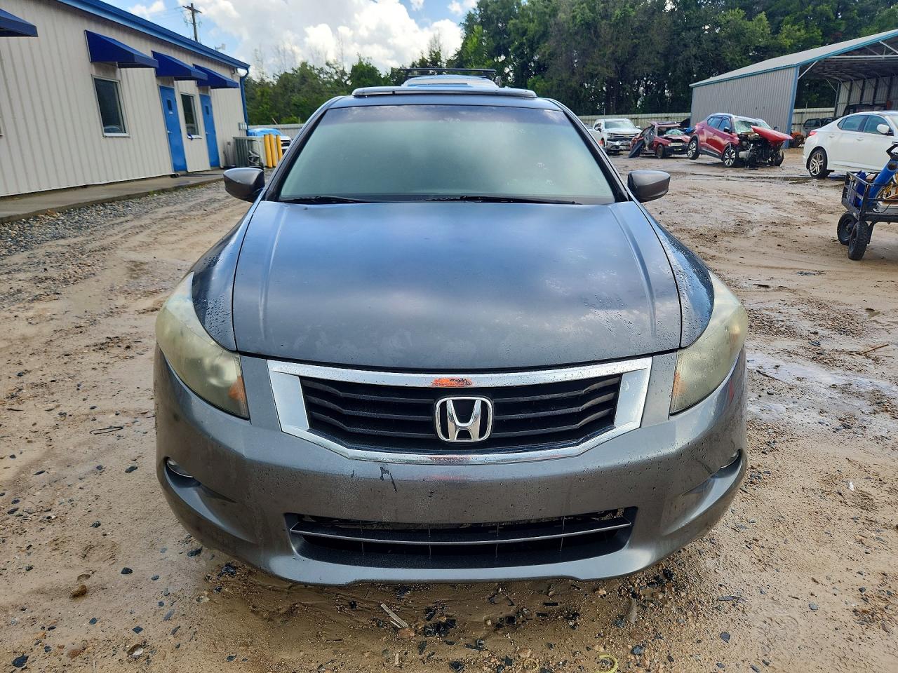 2010 Honda Accord Exl Серый vin: 5KBCP3F81AB008202