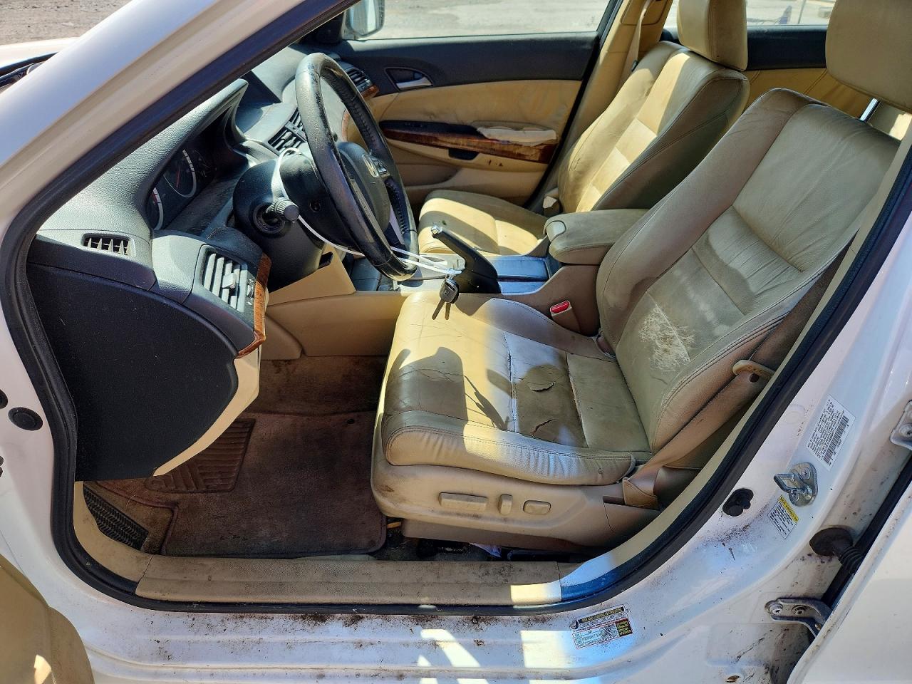 2011 Honda Accord Exl White vin: 5KBCP3F81BB003437